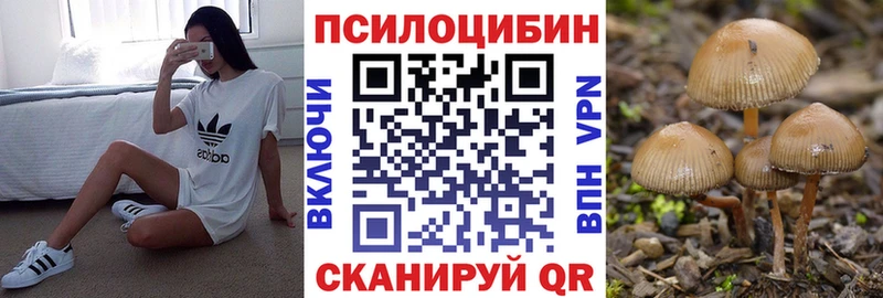 Галлюциногенные грибы GOLDEN TEACHER  что такое   Талица 